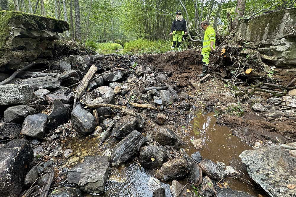 Dammutrivning i Lillån