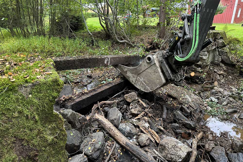 Dammutrivning i Lillån