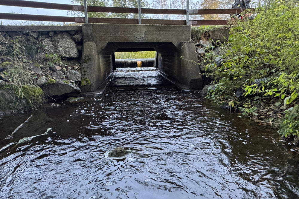 En bro över en bäck