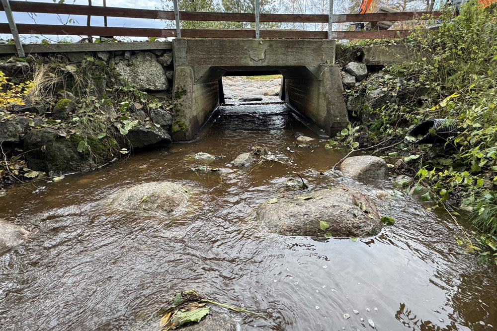 En bro över en bäck