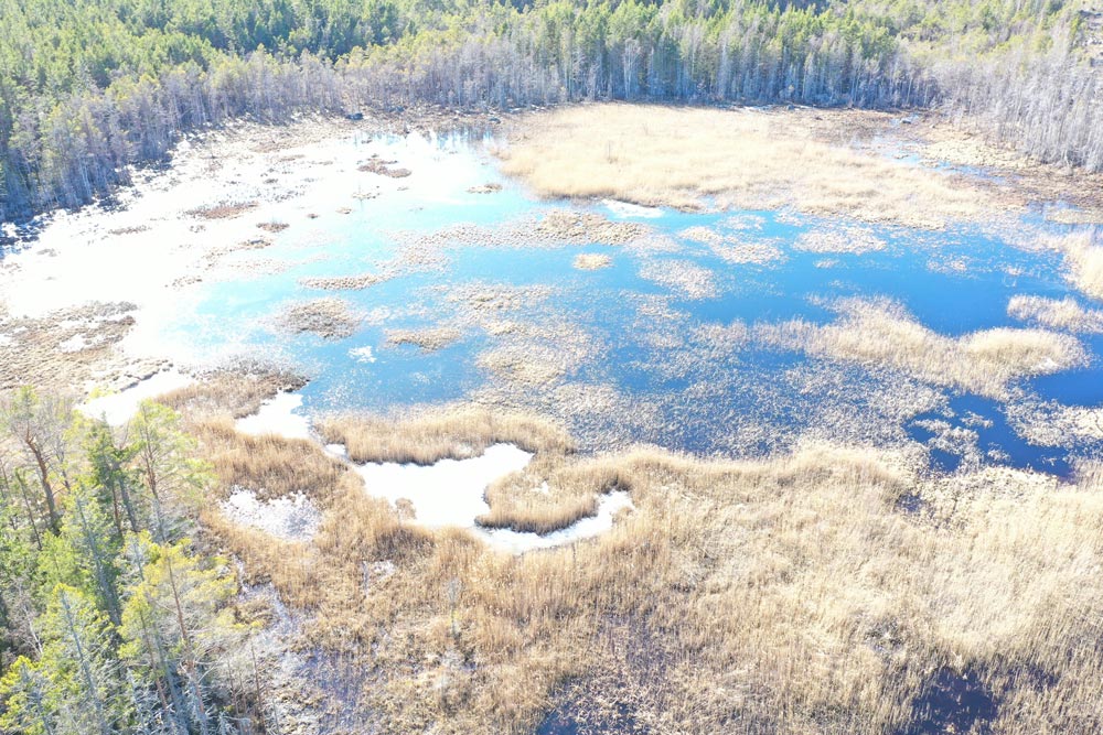 Bild ovanifrån på en av våtmarkerna som har fått fiskvandringsvägar i Söderhamns kommun