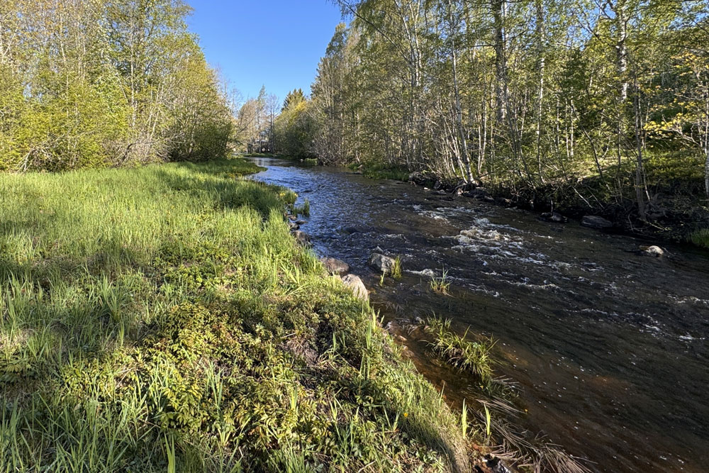Bild från Lötån