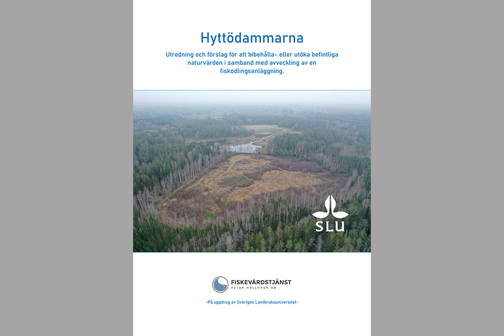 Omslag Hyttödammarna