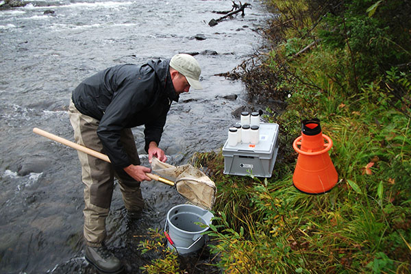 Bottenfaunainventering